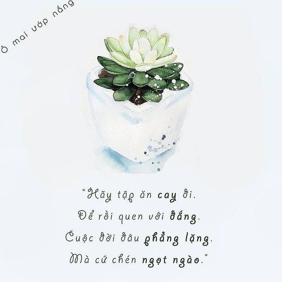 Tổng hợp những câu nói hay về tình yêu hay nhất mọi thời đại