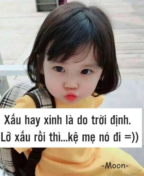 Những câu stt về cuộc sống chất