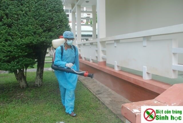 Dịch vụ phun diệt muỗi tại nhà Hà Nội uy tín – giá rẻ