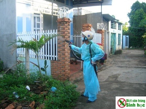 Dịch vụ phun thuốc diệt muỗi tại Hà Nội của chúng tô là tốt nhất hiện nay
