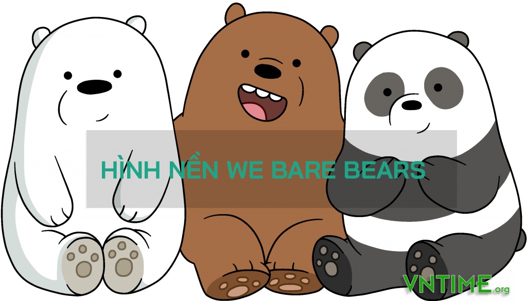 100 Hình nền We Bare Bears cute, ảnh chúng tôi đơn giản là gấu mới nhất