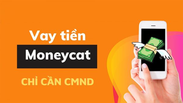 Hình thức cho vay online tại MoneyCat