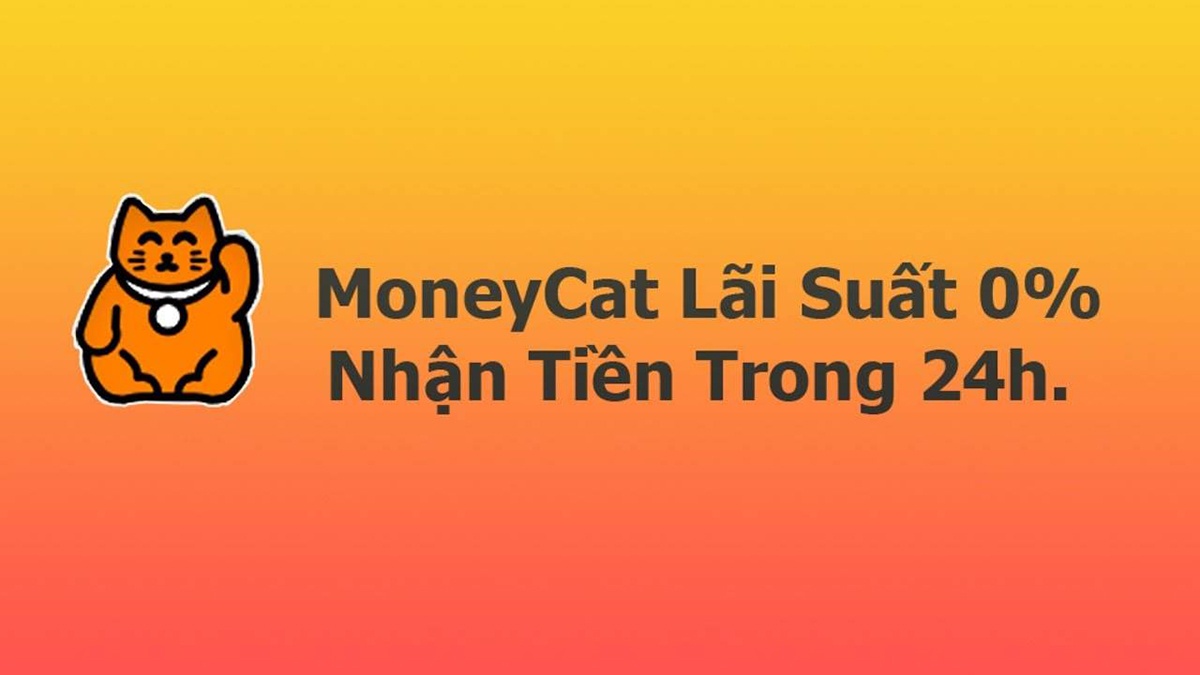 MoneyCat là gì? Có nên vay tiền MoneyCat hay không?