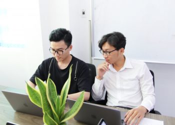 Thiết kế website chuyên nghiệp cao cấp chuẩn UX:UI tại Miko Tech