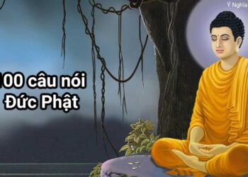 Top 100 câu nói hay về Phật pháp giúp bạn làm điểm tựa tinh thần trong cuộc sống