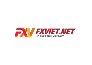 Đánh giá website tạp chí Forex Fxviet.net