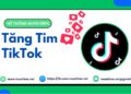 Mẹo giúp video tiktok có nhiều tym